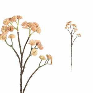 Gardn flower lichtbruin sedum tak